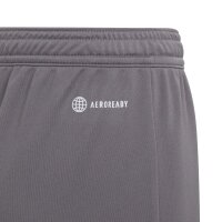 adidas Entrada 22 Shorts Kinder - grau-164