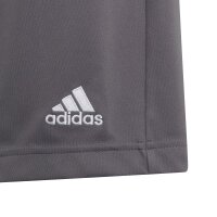 adidas Entrada 22 Shorts Kinder - grau-164