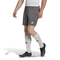 adidas Entrada 22 Shorts Herren - grau -S