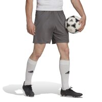 adidas Entrada 22 Shorts Herren - grau -S