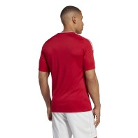 adidas Campeon 23 Trikot Herren - rot -L