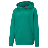 Puma teamGOAL 23 Casuals Hoodie Kinder - grün-116