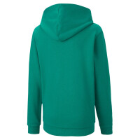 Puma teamGOAL 23 Casuals Hoodie Kinder - grün-116