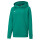 Puma teamGOAL 23 Casuals Hoodie Kinder - grün-116
