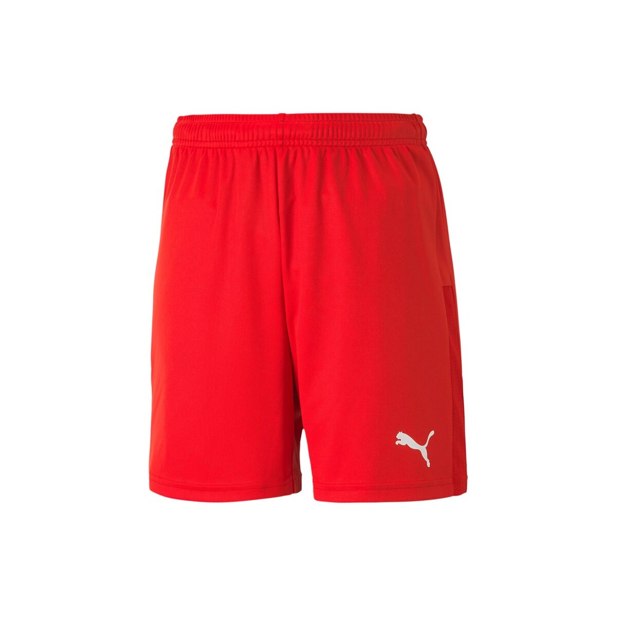 Puma teamGOAL 23 Shorts Kinder - rot