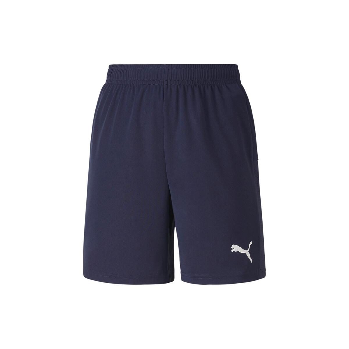 Puma teamGOAL 23 Shorts Kinder - navy