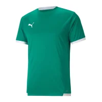 Puma teamLIGA Trikot Herren - grün