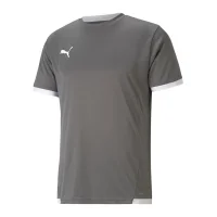 Puma teamLIGA Trikot Herren - grau