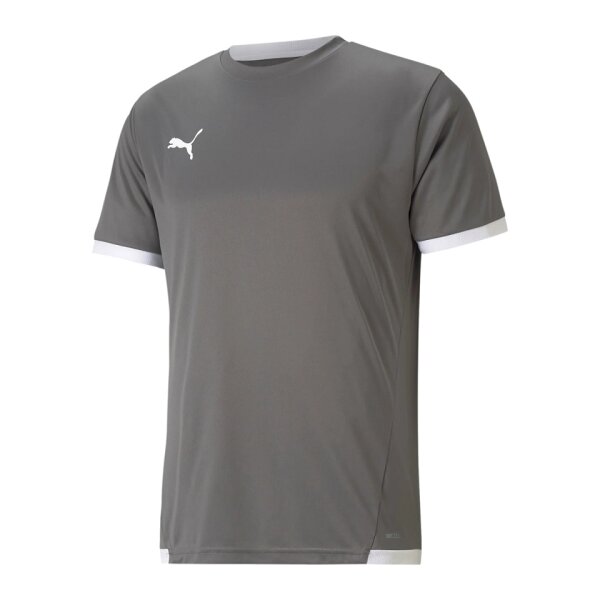 Puma teamLIGA Trikot Herren - grau - L