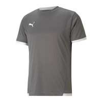 Puma teamLIGA Trikot Herren - grau - L