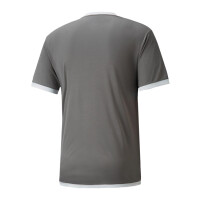 Puma teamLIGA Trikot Herren - grau - L