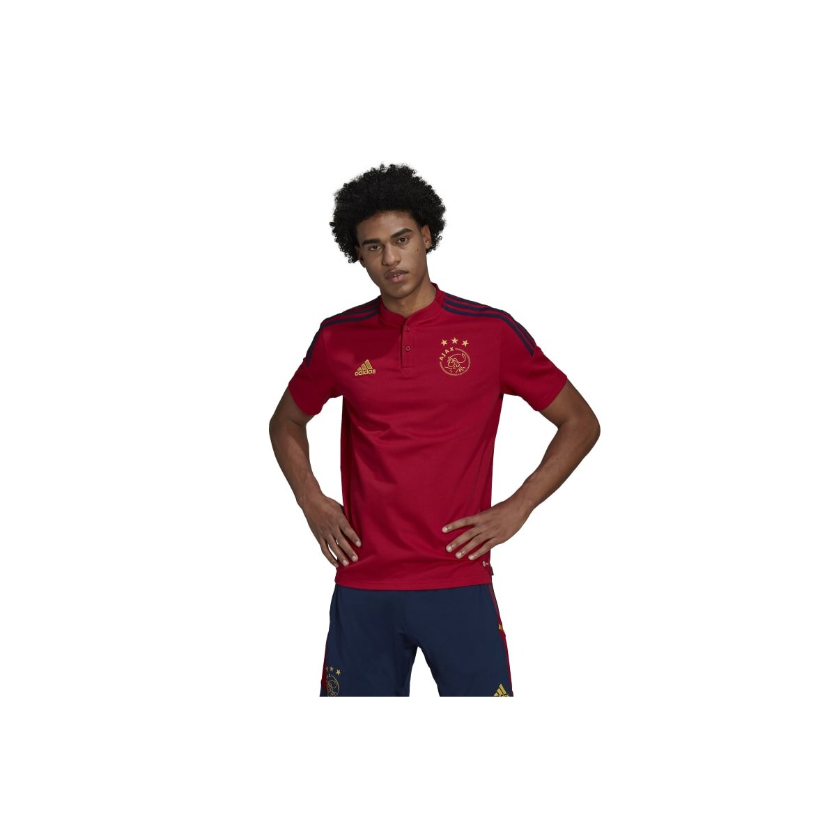 Stiptheid Graveren Pas op adidas Ajax Amsterdam Condivo 22 Poloshirt Herren - rot | DeinSportsfreund.de Stiptheid Graveren Pas op adidas Ajax Amsterdam Condivo 22 Poloshirt Herren - rot | DeinSportsfreund.de