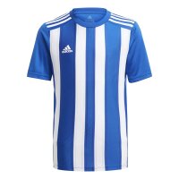 adidas Striped 21 Trikot Kinder - blau/weiß-176