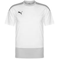 Puma teamGOAL 23 Trainingsshirt Herren - weiß