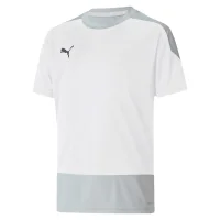 Puma teamGOAL 23 Trikot Kinder - weiß/grau
