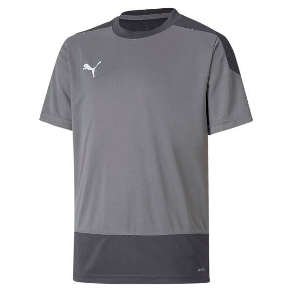 Puma teamGOAL 23 Trikot Kinder - grau -128