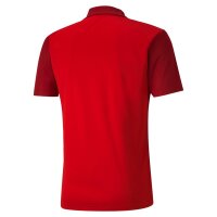 Puma teamGOAL 23 Sideline Polo Herren - rot