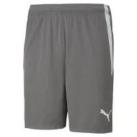 Puma teamLIGA Shorts Herren - grau