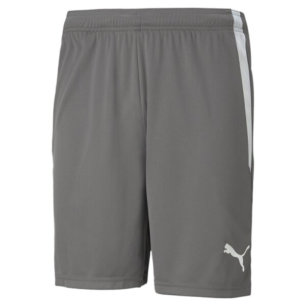 Puma teamLIGA Shorts Herren - grau - M