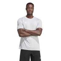 adidas Tabela 23 Trikot Herren - hellgrau