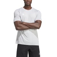 adidas Tabela 23 Trikot Herren - hellgrau