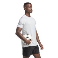 adidas Tabela 23 Trikot Herren - hellgrau