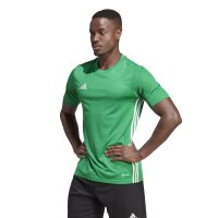 adidas Tabela 23 Trikot Herren - grün