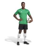 adidas Tabela 23 Trikot Herren - grün