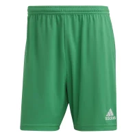 adidas Entrada 22 Shorts Herren - grün