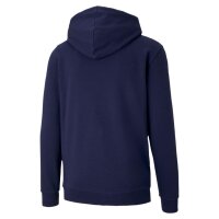 Puma teamGOAL 23 Full-Zip Hoodie Herren - blau