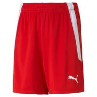 Puma teamLIGA Shorts Kinder - rot