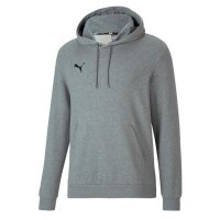 Puma teamGOAL 23 Hoodie Herren - grau