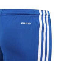 adidas Squadra 21 Shorts Kinder - blau/weiß