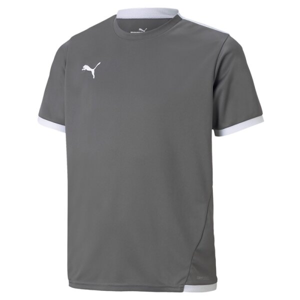 Puma teamLIGA Trikot Kinder - grau