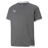 Puma teamLIGA Trikot Kinder - grau