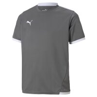 Puma teamLIGA Trikot Kinder - grau