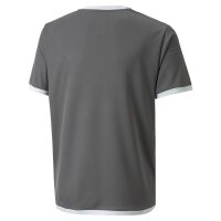 Puma teamLIGA Trikot Kinder - grau