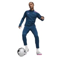 Puma teamLIGA Trainingshose Herren - navy/pink-L