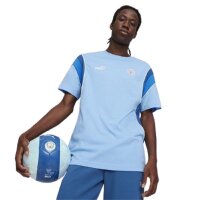 Puma Manchester City Ftbl Archive T-Shirt Herren - blau