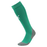 Puma teamLIGA Core Stutzen - grün/weiß