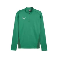 Puma teamGOAL Trainingstop Herren - grün