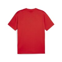 Puma teamGOAL Trikot Herren - rot