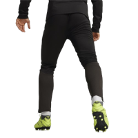 Puma teamGOAL Trainingshose Herren - schwarz/grau-M
