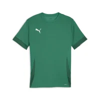 Puma teamGOAL Trikot Herren - grün