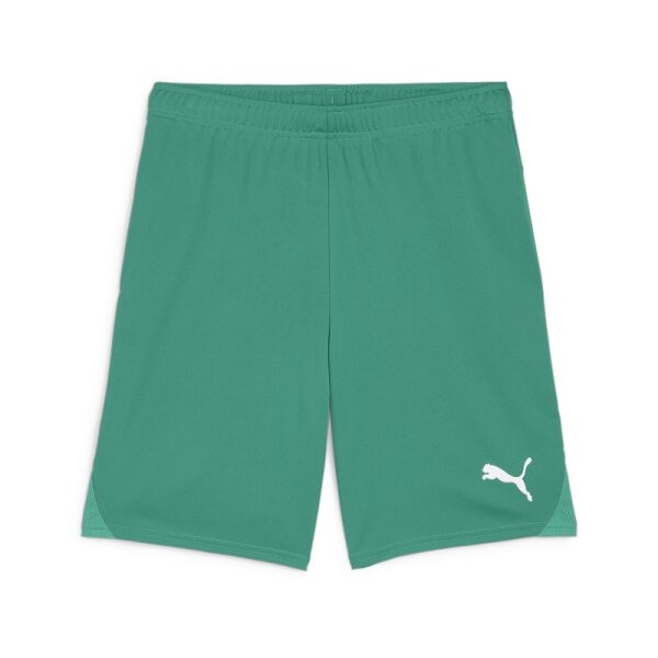 Puma teamGOAL Shorts Herren - grün-2XL