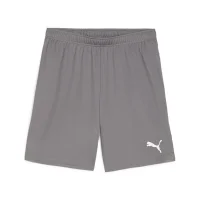 Puma teamGOAL Shorts Herren - grau