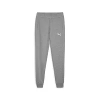 Puma teamGOAL Casuals Jogginghose Herren - grau