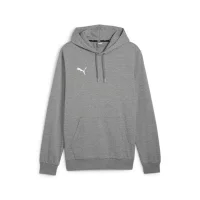 Puma teamGOAL Casuals Hoodie Herren - grau