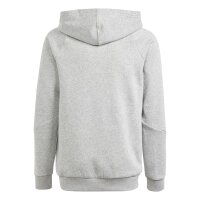 adidas Tiro 24 Sweat Hoodie Kinder - grau/weiß - 152