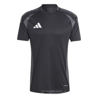 adidas Tiro 24 Competition Trikot Herren - schwarz/grau-3XL